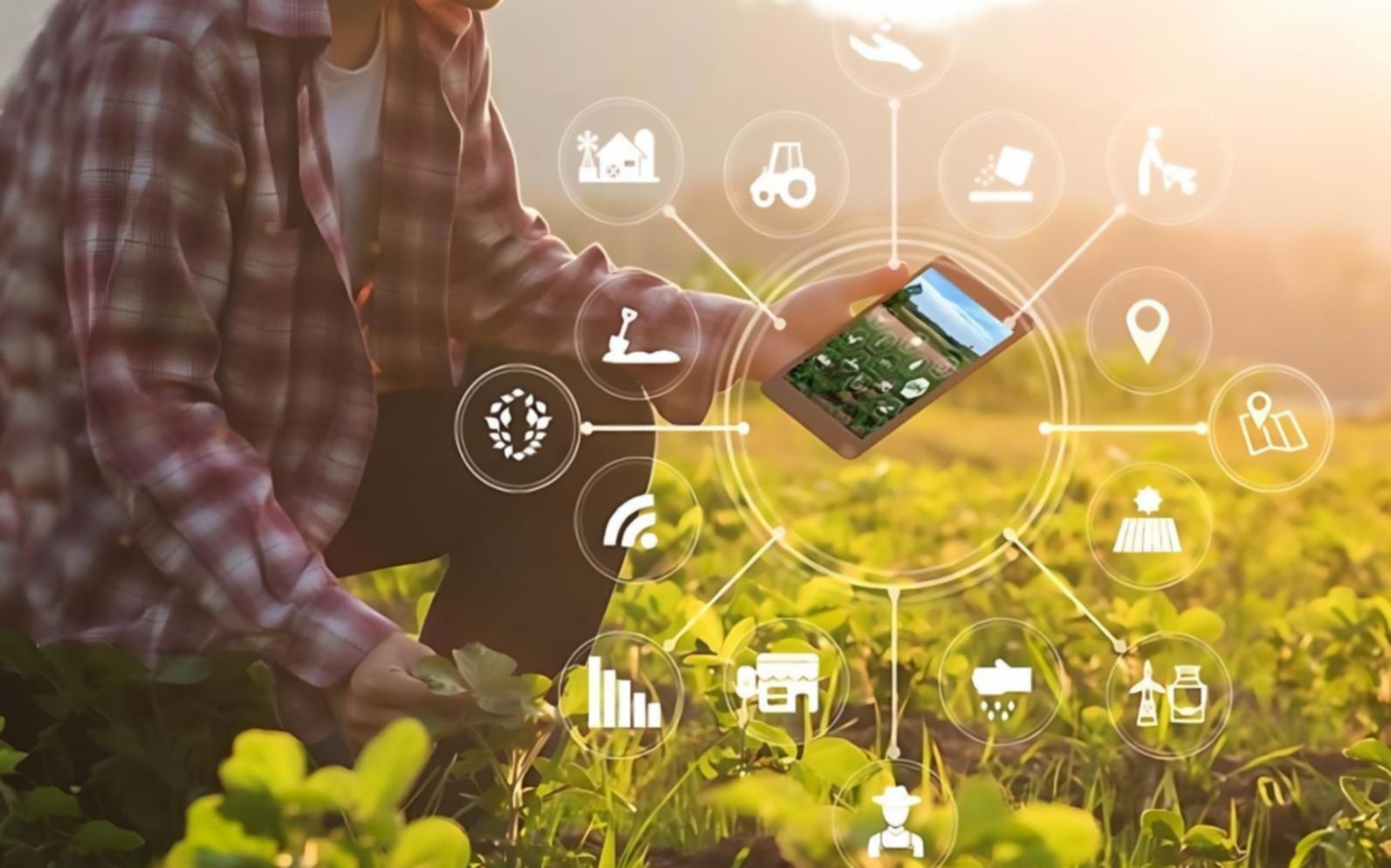 Estudiante completando evaluación práctica de habilidades